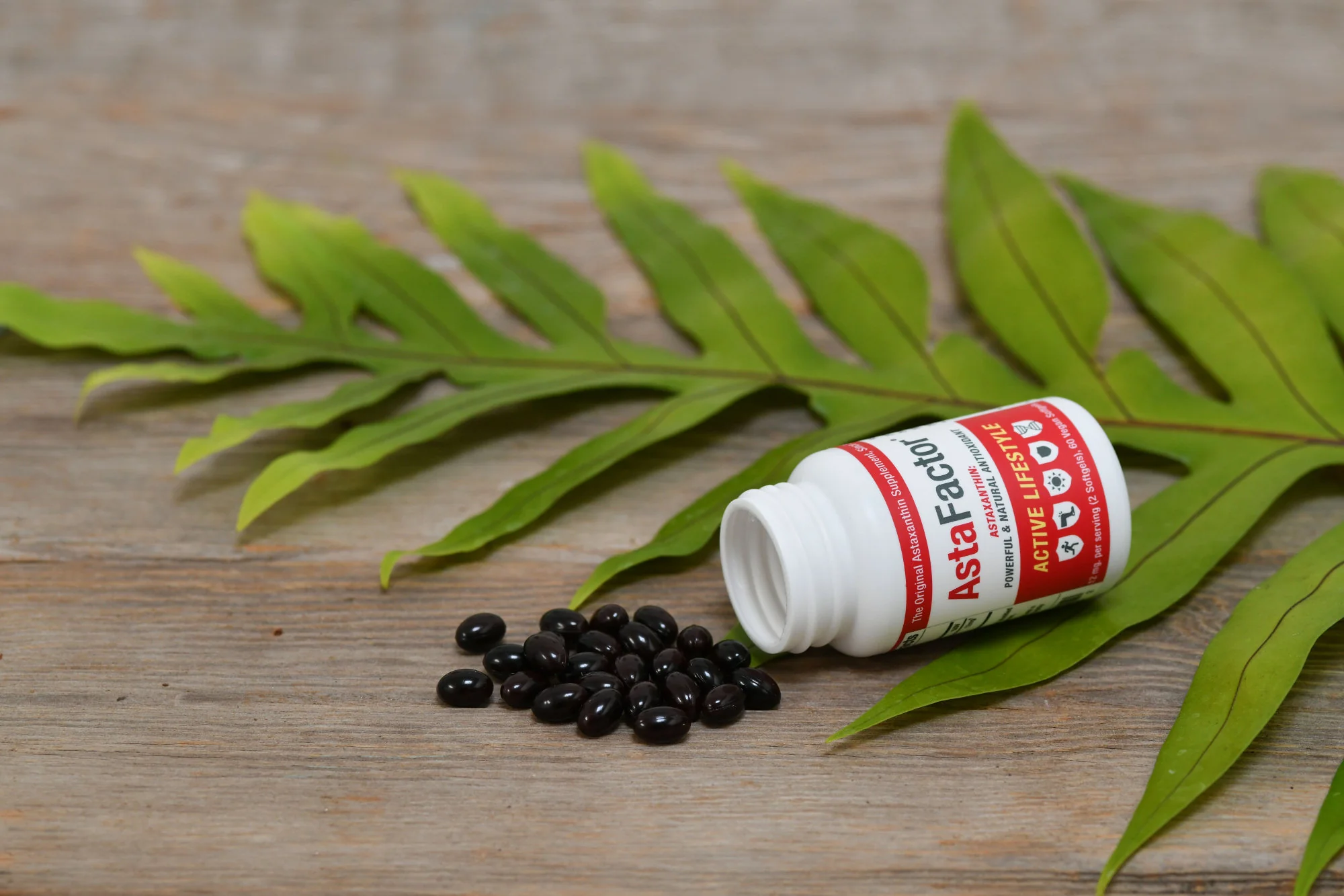 AstaFactor Astaxanthin Supplement - Image 4