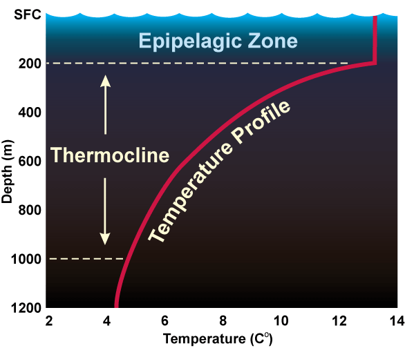 Deep Ocean Magnesium Water Drops - Image 3